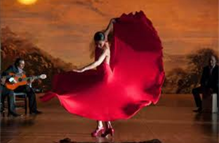 Flamenco Frenzy